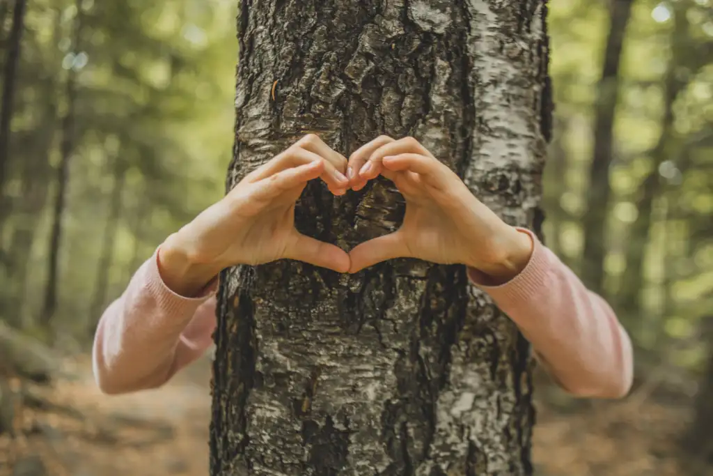 Dete grli drvo i pokazuje ljubav prema prirodi i kako treba brinuti o planeti